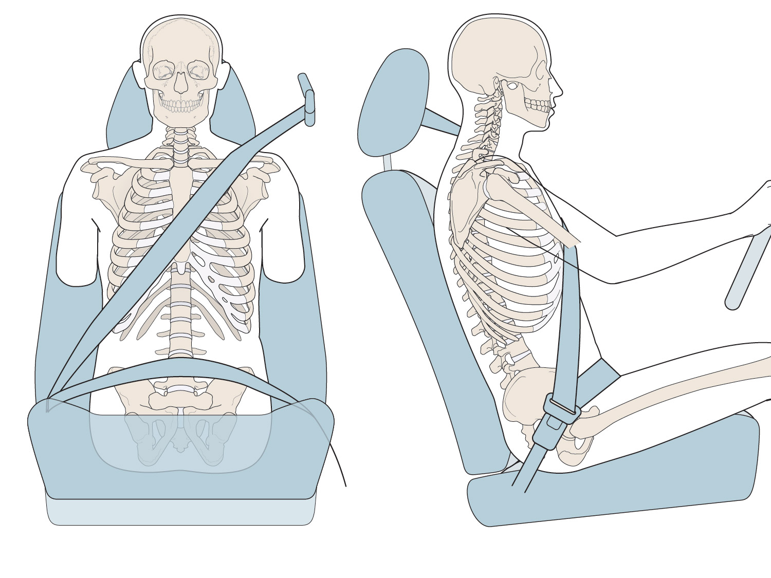 Texas Seatbelt Law Plaintiffs Held